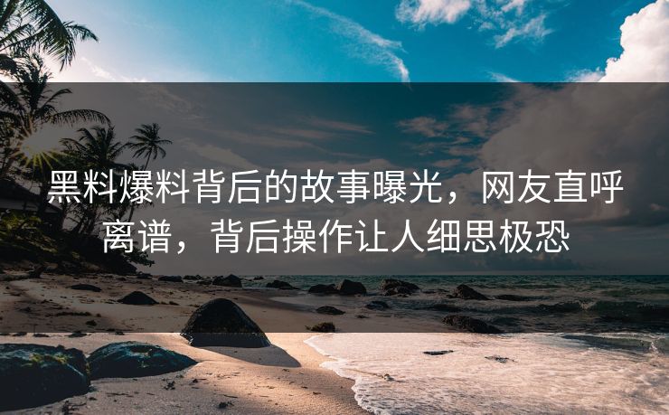 黑料爆料背后的故事曝光，网友直呼离谱，背后操作让人细思极恐