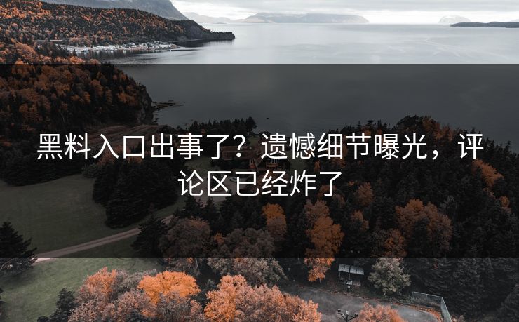 黑料入口出事了？遗憾细节曝光，评论区已经炸了