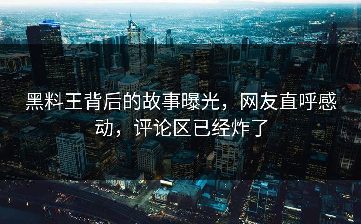黑料王背后的故事曝光，网友直呼感动，评论区已经炸了