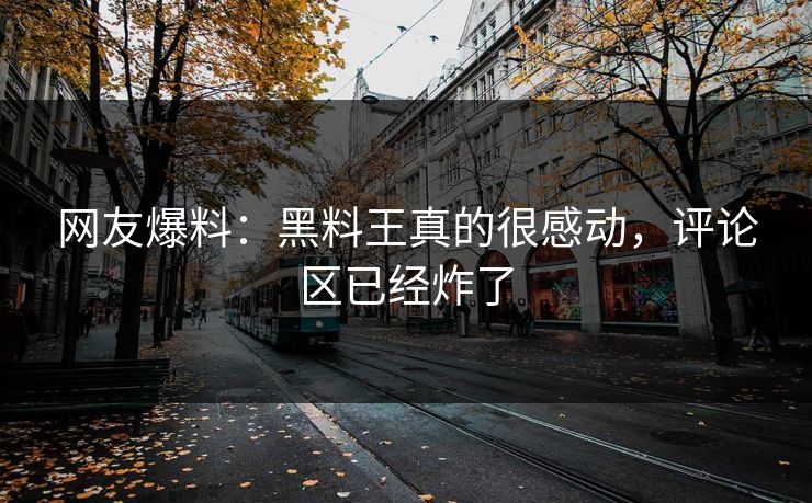 网友爆料：黑料王真的很感动，评论区已经炸了