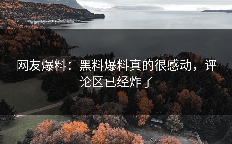 网友爆料：黑料爆料真的很感动，评论区已经炸了