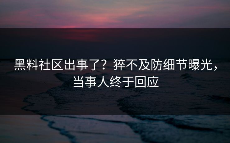 黑料社区出事了？猝不及防细节曝光，当事人终于回应