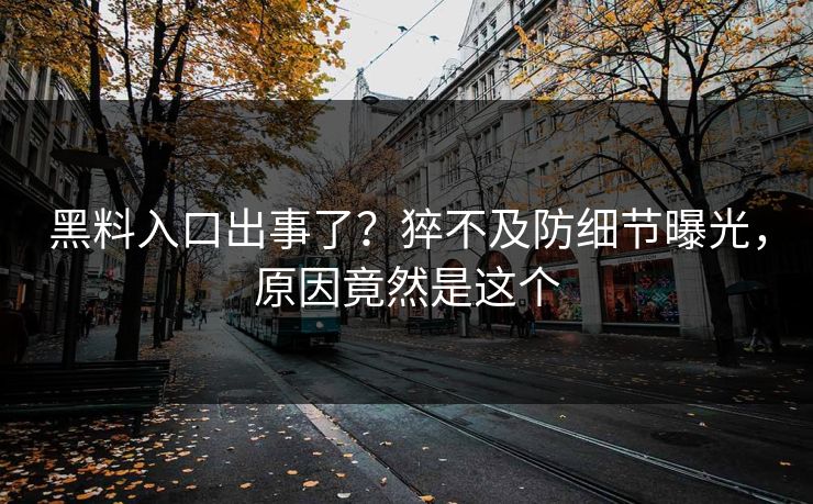 黑料入口出事了？猝不及防细节曝光，原因竟然是这个
