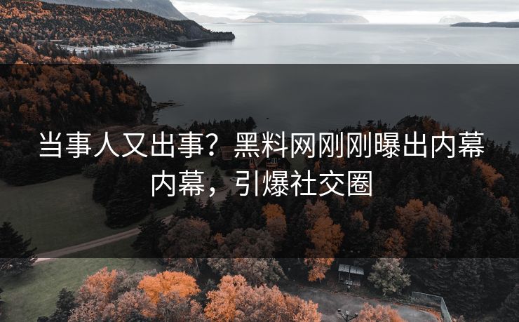 当事人又出事？黑料网刚刚曝出内幕内幕，引爆社交圈