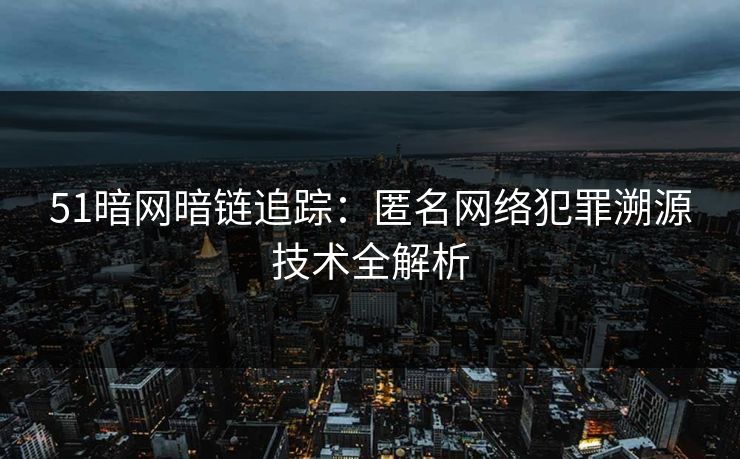 51暗网暗链追踪：匿名网络犯罪溯源技术全解析