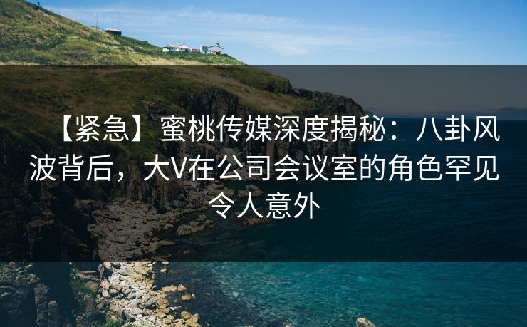 【紧急】蜜桃传媒深度揭秘：八卦风波背后，大V在公司会议室的角色罕见令人意外