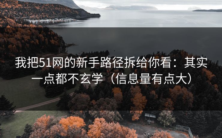 我把51网的新手路径拆给你看：其实一点都不玄学（信息量有点大）